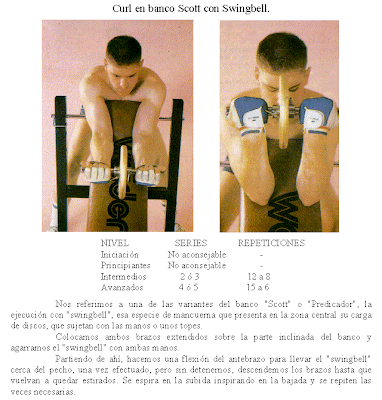 biceps banco scott mancuerna